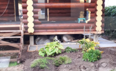 Проект дома Истра